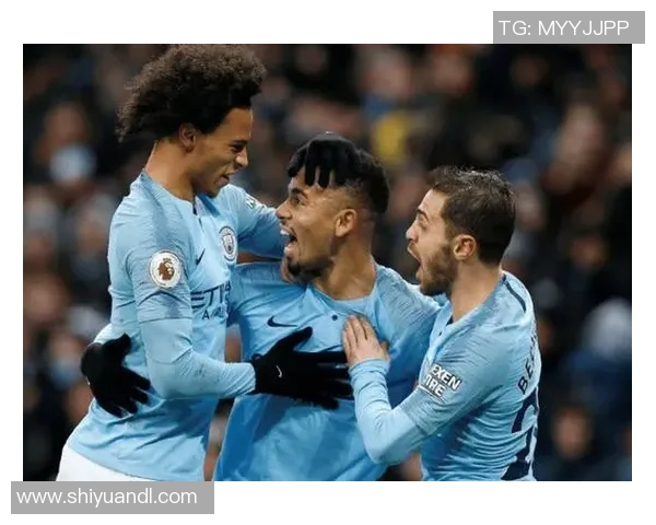 2017年曼城与埃弗顿精彩对决回放全程回顾与分析