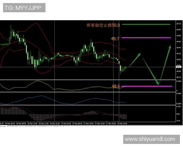 巴西对阵朝鲜精彩对决中文解说全程回顾与分析