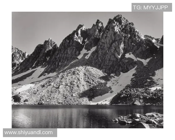 亚当斯的传奇人生与影响力探秘:从个人成就到全球视野的深度分析 亚当斯的传奇人生与影响力探秘:从个人成就到全球视野的深度分析