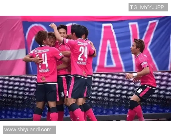 新泻天鹅迎战爱媛球队力争主场胜利展现实力与决心 新泻天鹅迎战爱媛球队力争主场胜利展现实力与决心