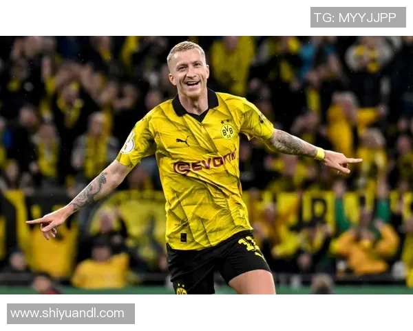 罗伊斯正式成为德国室内足球联赛BallerLeague球队的新任经理